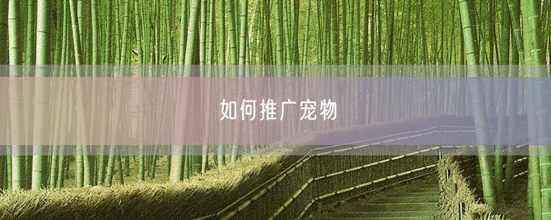 <strong>如何推广宠物</strong>