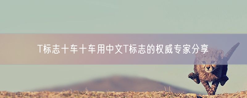 T标志十车十车用中文T标志的权威专家分享