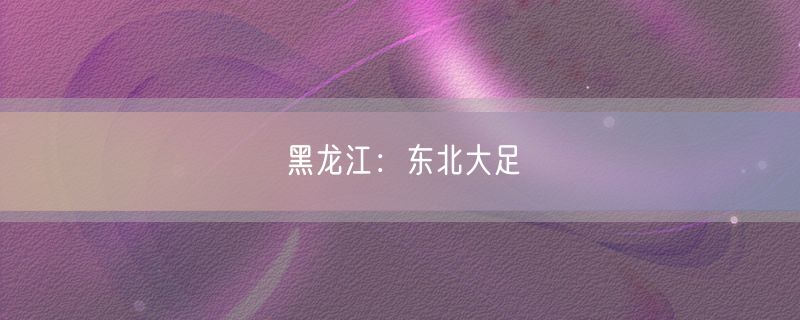<strong>黑龙江：东北大足</strong>