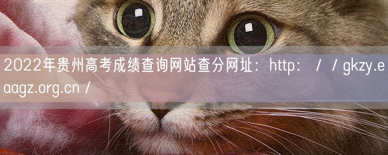 2022年贵州高考成绩查询网站查分网址：http：／／gkzy.eaagz.org.cn／