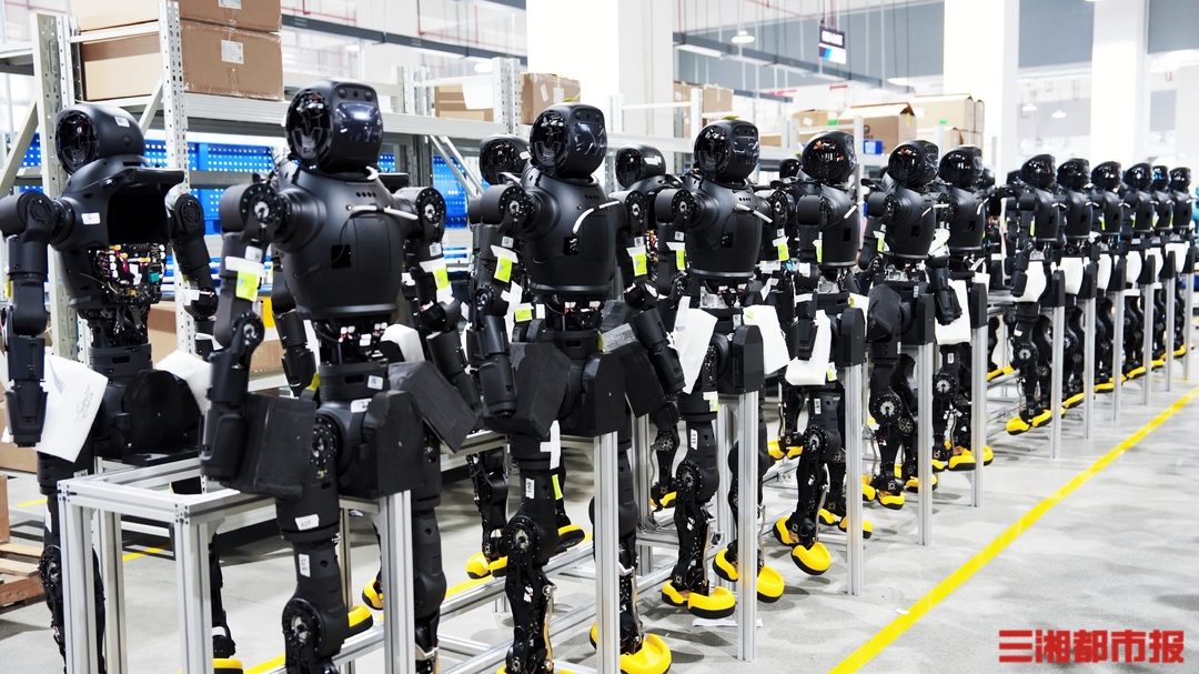 蓝思科技全年出货超3000台人形机器人